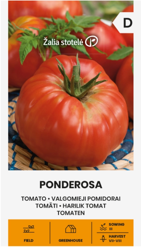 Pomidor Ponderosa odmiana bardzo plenna o dużych owocach do 400 g nasiona 0,1g Žalia stotelė sklep rajogrodnika